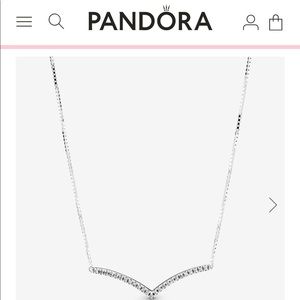 Pandora Wish Bone Necklace
